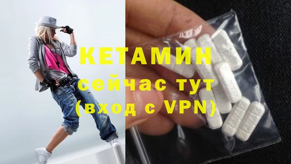 стаф Аркадак