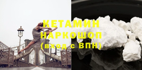 стаф Аркадак