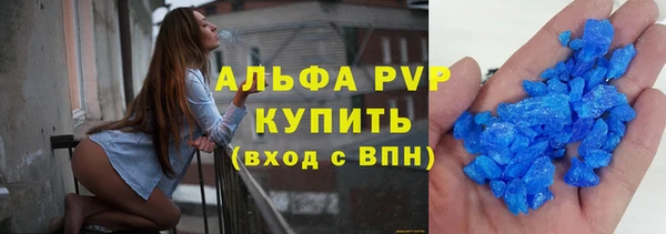 стаф Аркадак