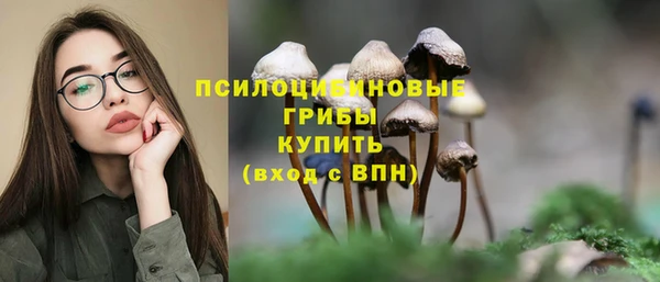стаф Аркадак