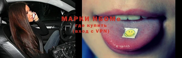 стаф Аркадак