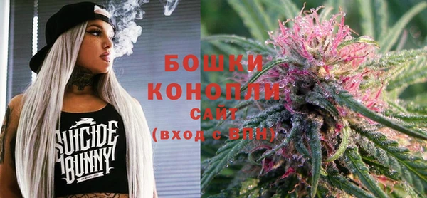 не бодяженный Арсеньев