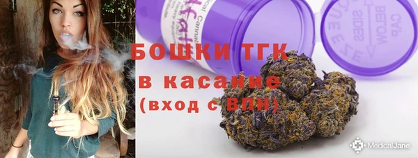 стаф Аркадак