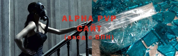 стаф Аркадак