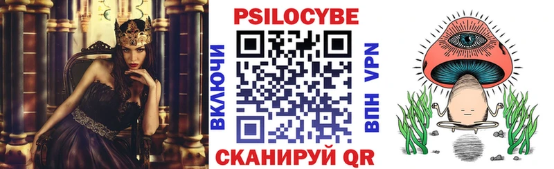 Купить закладки  Дно  Псилоцибиновые грибы мицелий 